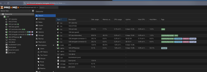 Reaching the Proxmox web UI through its Twingate alias
